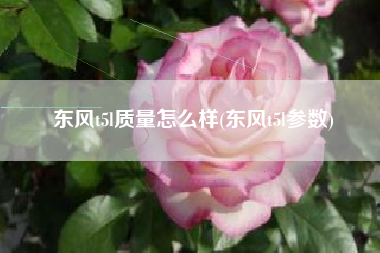 东风t5l质量怎么样(东风t5l参数)