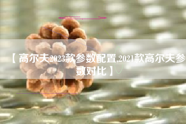 【高尔夫2023款参数配置,2021款高尔夫参数对比】