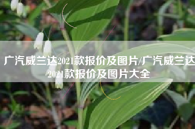 广汽威兰达2021款报价及图片/广汽威兰达2021款报价及图片大全