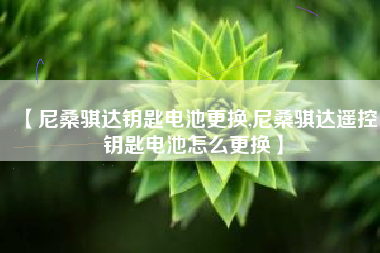 【尼桑骐达钥匙电池更换,尼桑骐达遥控钥匙电池怎么更换】