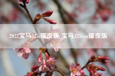 2022宝马325i曜夜版/宝马325lim曜夜版