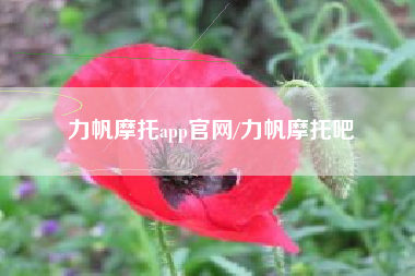 力帆摩托app官网/力帆摩托吧 力帆摩托app官网/力帆摩托吧