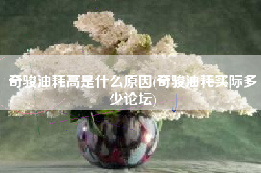 奇骏油耗高是什么原因(奇骏油耗实际多少论坛)