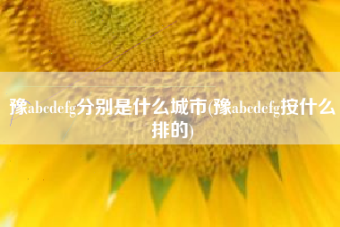 豫abcdefg分别是什么城市(豫abcdefg按什么排的)