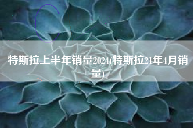 特斯拉上半年销量2024(特斯拉21年4月销量)