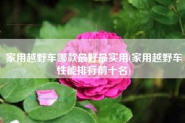 家用越野车哪款最好最实用(家用越野车性能排行前十名) 家用越野车哪款最好最实用(家用越野车性能排行前十名)