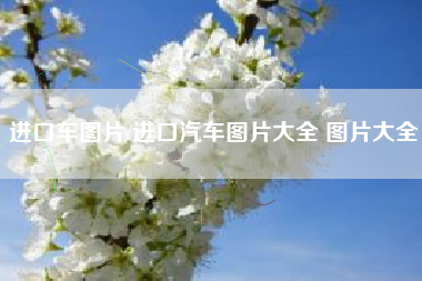 进口车图片/进口汽车图片大全 图片大全