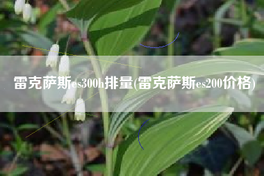 雷克萨斯es300h排量(雷克萨斯es200价格)