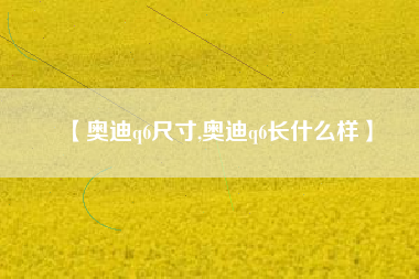 【奥迪q6尺寸,奥迪q6长什么样】 【奥迪q6尺寸,奥迪q6长什么样】