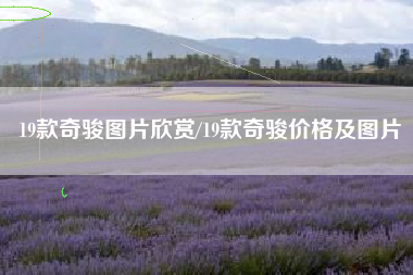 19款奇骏图片欣赏/19款奇骏价格及图片