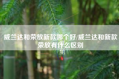 威兰达和荣放新款哪个好/威兰达和新款荣放有什么区别