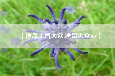 【途昂上汽大众,途昂大众suv】