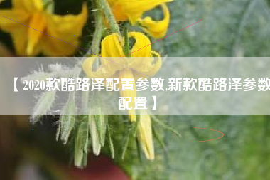【2020款酷路泽配置参数,新款酷路泽参数配置】