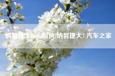 纳智捷大7mpv报价/纳智捷大7 汽车之家 纳智捷大7mpv报价/纳智捷大7 汽车之家