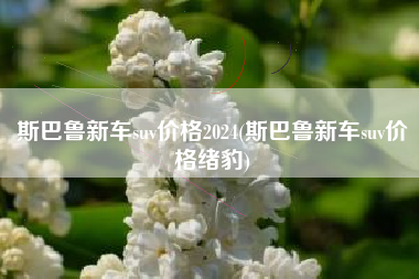 斯巴鲁新车suv价格2024(斯巴鲁新车suv价格绪豹)
