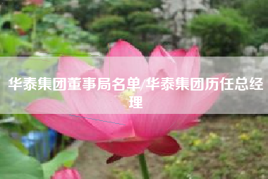 华泰集团董事局名单/华泰集团历任总经理