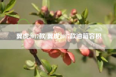 翼虎2017款/翼虎2017款油箱容积