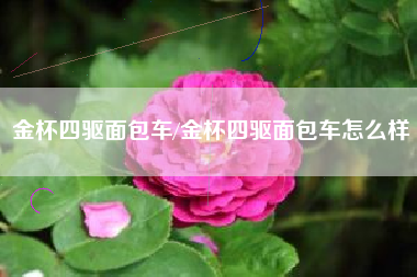 金杯四驱面包车/金杯四驱面包车怎么样