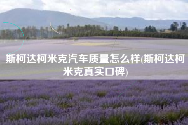 斯柯达柯米克汽车质量怎么样(斯柯达柯米克真实口碑)