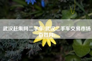 武汉赶集网二手车(武汉二手车交易市场百姓网)