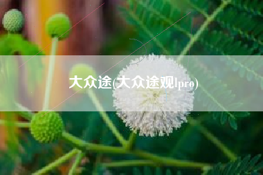 大众途(大众途观lpro) 大众途(大众途观lpro)