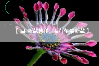 【polo新款售价,polo汽车最新款】