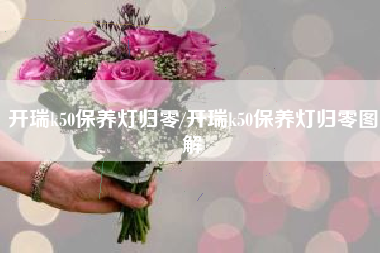 开瑞k50保养灯归零/开瑞k50保养灯归零图解