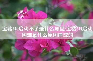 宝骏510启动不了是什么原因/宝骏510启动困难是什么原因造成的