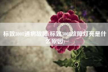 标致3008通病故障(标致3008故障灯亮是什么原因)