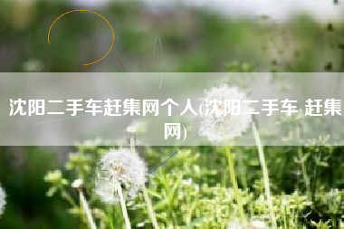 沈阳二手车赶集网个人(沈阳二手车 赶集网)