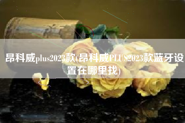 昂科威plus2023款(昂科威PLUS2023款蓝牙设置在哪里找)