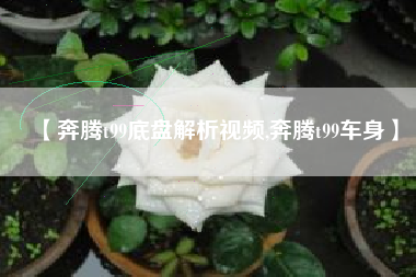 【奔腾t99底盘解析视频,奔腾t99车身】
