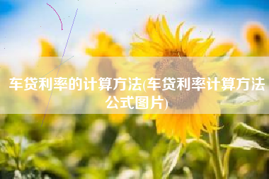 车贷利率的计算方法(车贷利率计算方法公式图片)