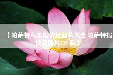 【帕萨特汽车报价及图片大全,帕萨特报价及图片2020款】