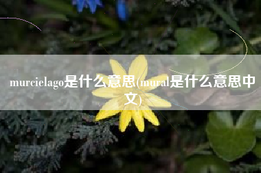 murcielago是什么意思(mural是什么意思中文)