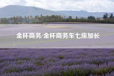 金杯商务/金杯商务车七座加长 金杯商务/金杯商务车七座加长