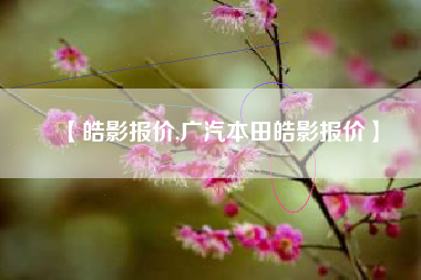 【皓影报价,广汽本田皓影报价】
