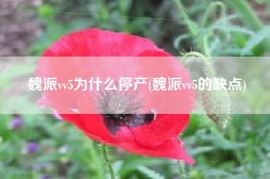 魏派vv5为什么停产(魏派vv5的缺点)
