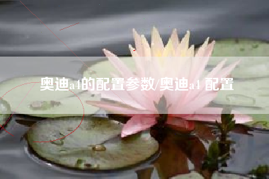 奥迪a4的配置参数/奥迪a4 配置