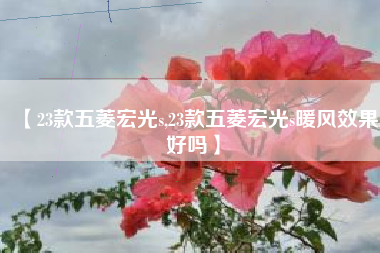 【23款五菱宏光s,23款五菱宏光s暖风效果好吗】 【23款五菱宏光s,23款五菱宏光s暖风效果好吗】