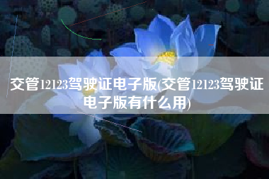 交管12123驾驶证电子版(交管12123驾驶证电子版有什么用)