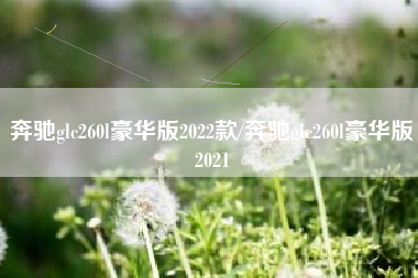 奔驰glc260l豪华版2022款/奔驰glc260l豪华版2021