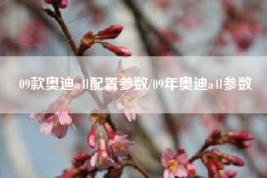 09款奥迪a4l配置参数/09年奥迪a4l参数