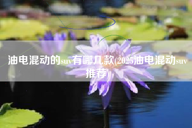 油电混动的suv有哪几款(2025油电混动suv推荐)