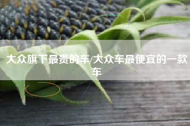 大众旗下最贵的车/大众车最便宜的一款车