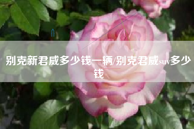 别克新君威多少钱一辆/别克君威suv多少钱