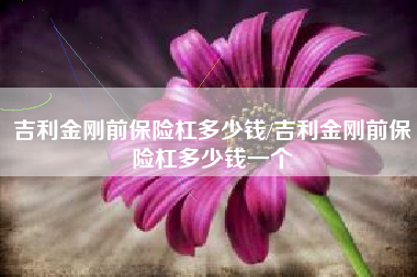 吉利金刚前保险杠多少钱/吉利金刚前保险杠多少钱一个