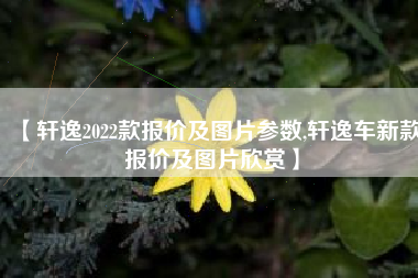 【轩逸2022款报价及图片参数,轩逸车新款报价及图片欣赏】