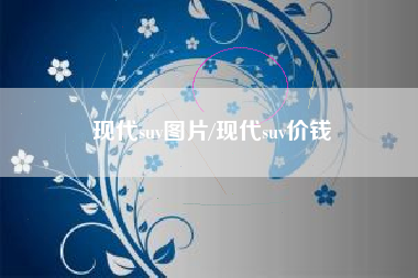 现代suv图片/现代suv价钱