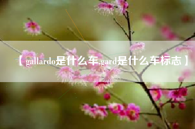 【gallardo是什么车,gard是什么车标志】